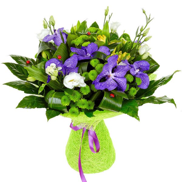 Фрезия (Freesia)