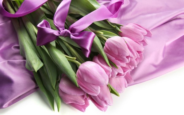 Весенний букет на белом фоне