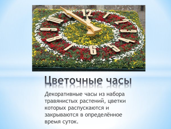 Красивые часы с цветами