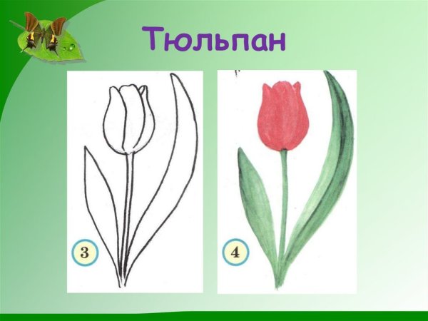 Тюльпаны для печати