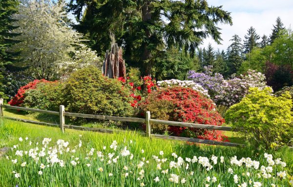 Весенний сад (Spring Topiary Garden)