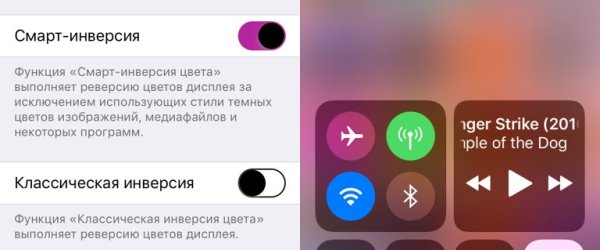 Портрет инверсия