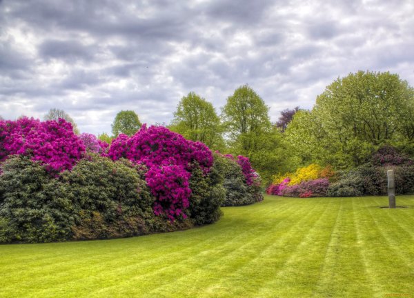 Весенний сад (Spring Topiary Garden)