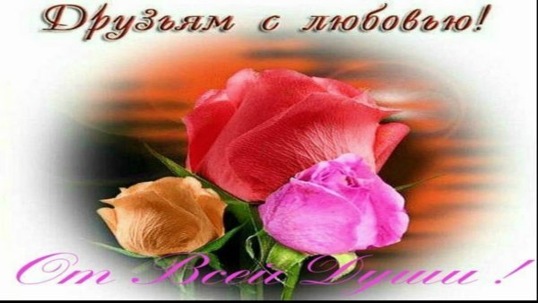 Любовь и благодарность