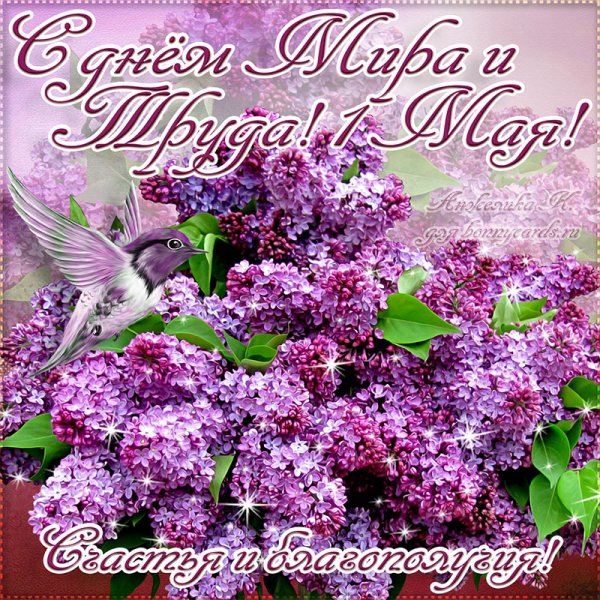 Открытки с 1 мая с сиренью