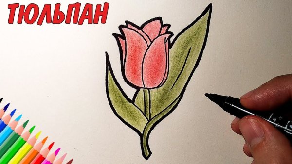 Цветы фломастерами для начинающих