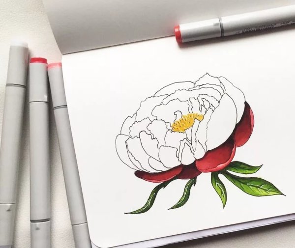 Рисунки маркерами