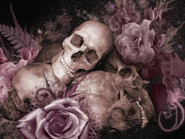 Череп и цветы
