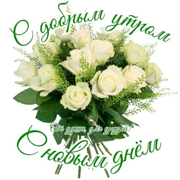 Чудного летнего доброго утра