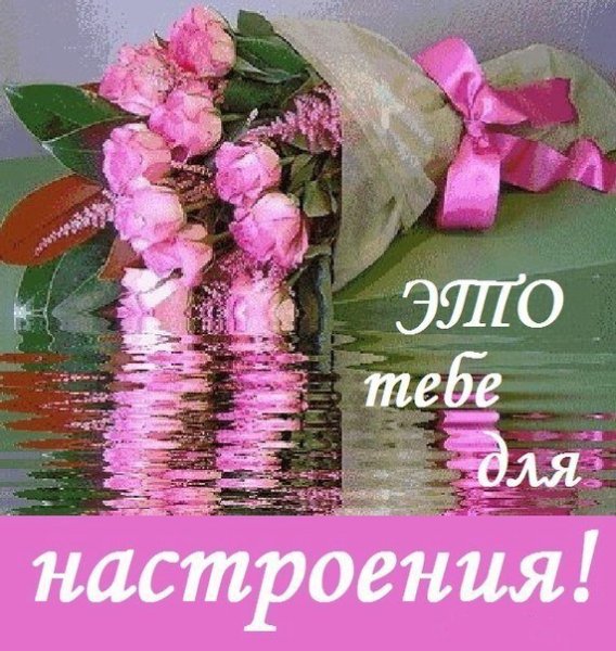 Подруге цветы для настроения