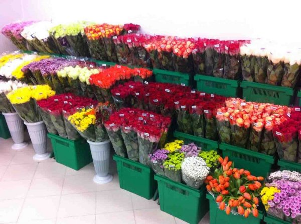 Продажа цветов юмор