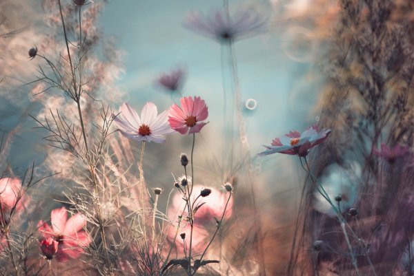 Природа в пастельных тонах