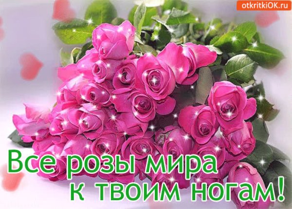 Цветы всего мира для тебя