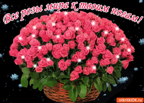 Цветы всего мира для тебя