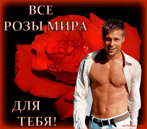 Розы к твоим ногам