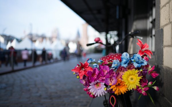 Клумбы на красной площади в Москве