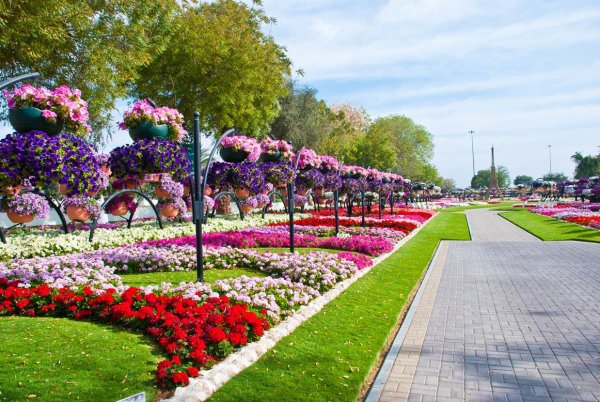 Московский фестиваль цветов
