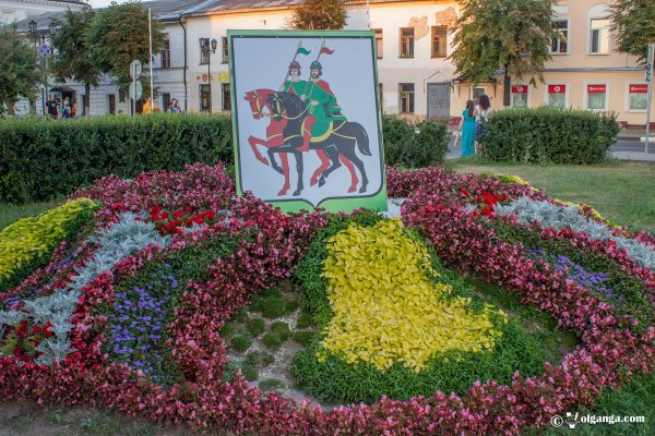 Городские цветы Гизель