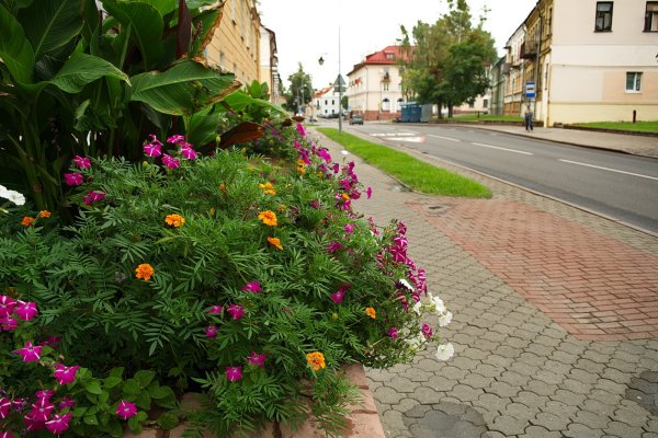 Центральный сквер "цветочный город" Китай