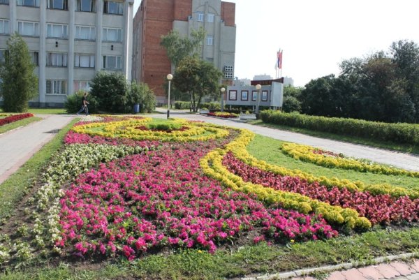 Озеленение города