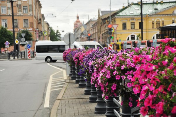 Клумбы для цветов городские