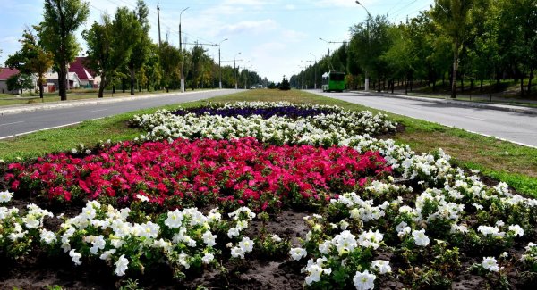 Клумба Казань