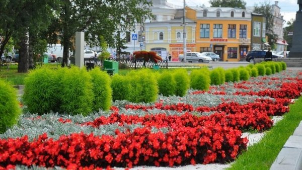 Набережная Ижевска клумба
