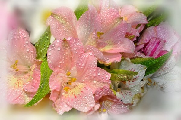 Открытка блестящая и очень красивые