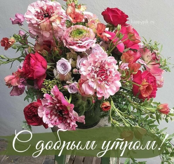 С добрым утром цветы красивые