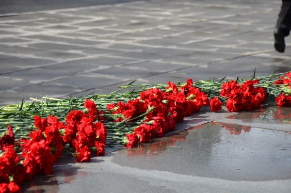 Возложение цветов к Вечному огню