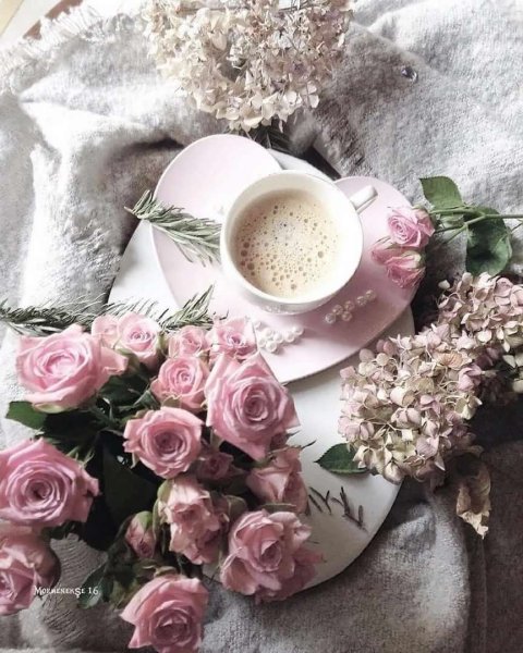 Нежное доброе утро девушке