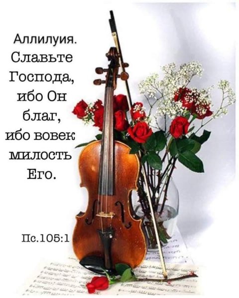 Виолончель цветы