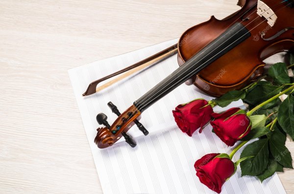 Головка скрипки и розы