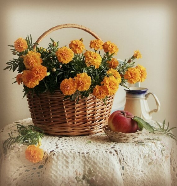 Фотонатюрморты с бархатцами