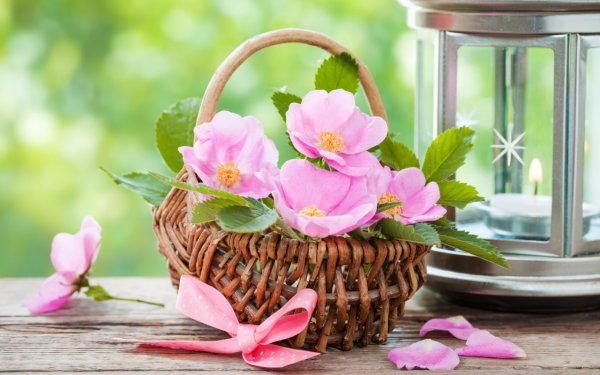 Весенние цветы в корзине нежные