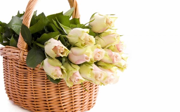 Корзина цветов на прозрачном фоне