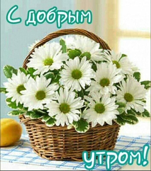 Ромашки в корзине