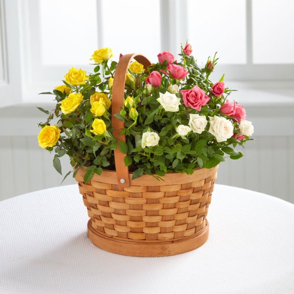 Хорошего дня с цветами