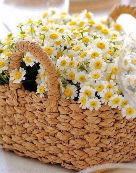 Корзинка с ромашками