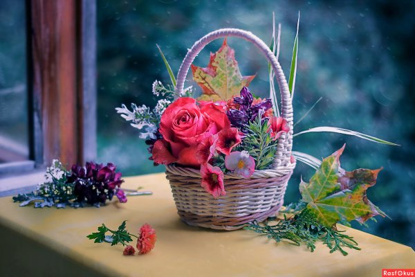 Осень цветы