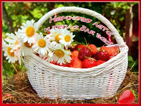 Хорошего летнего дня