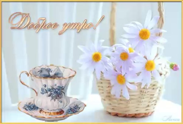 Открытки с добрым утром с ромашками