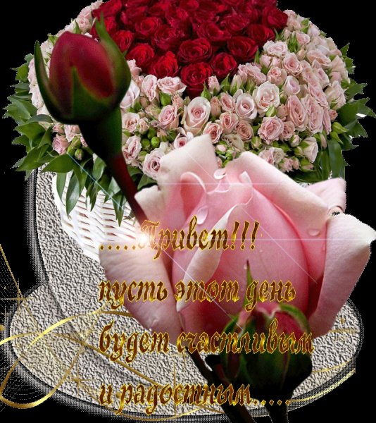 С днём рожденияорхидеи