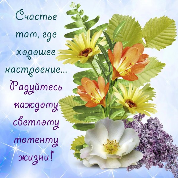 Добрые пожелания