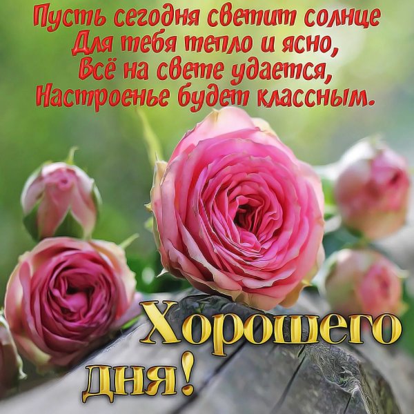 Поздравление с понедельником