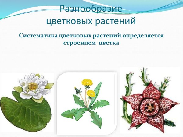 Флора Великобритании
