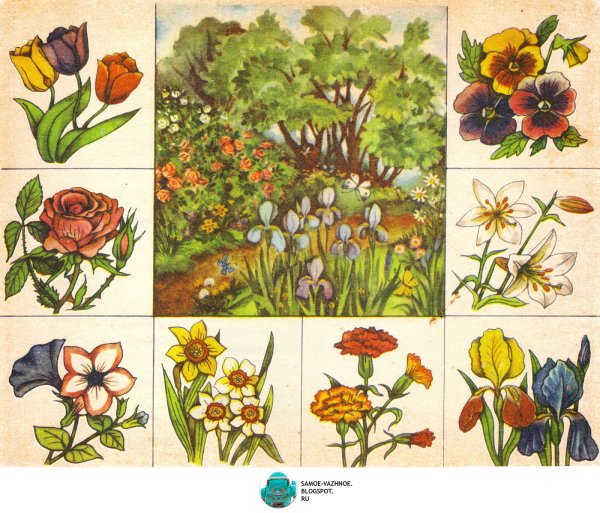 Ботаническое лото зеленый друг