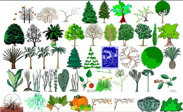 Цветок в горшке для детей