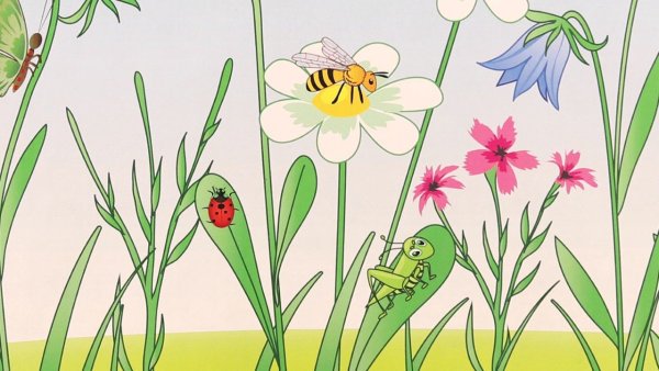 Полянка с цветами и бабочками