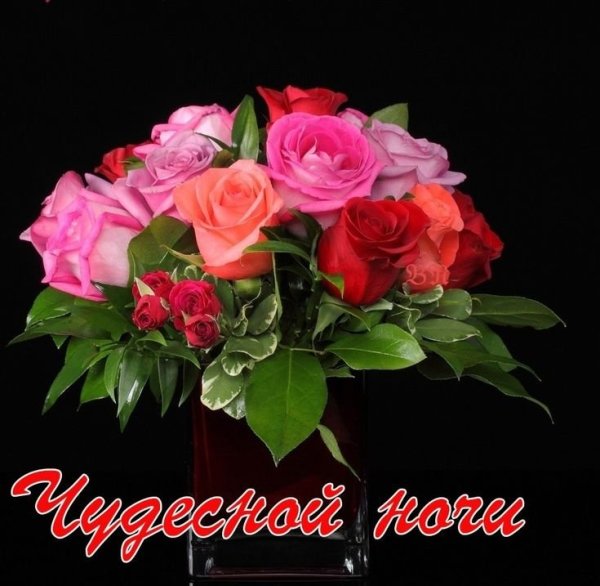 Красивые букеты спокойной ночи